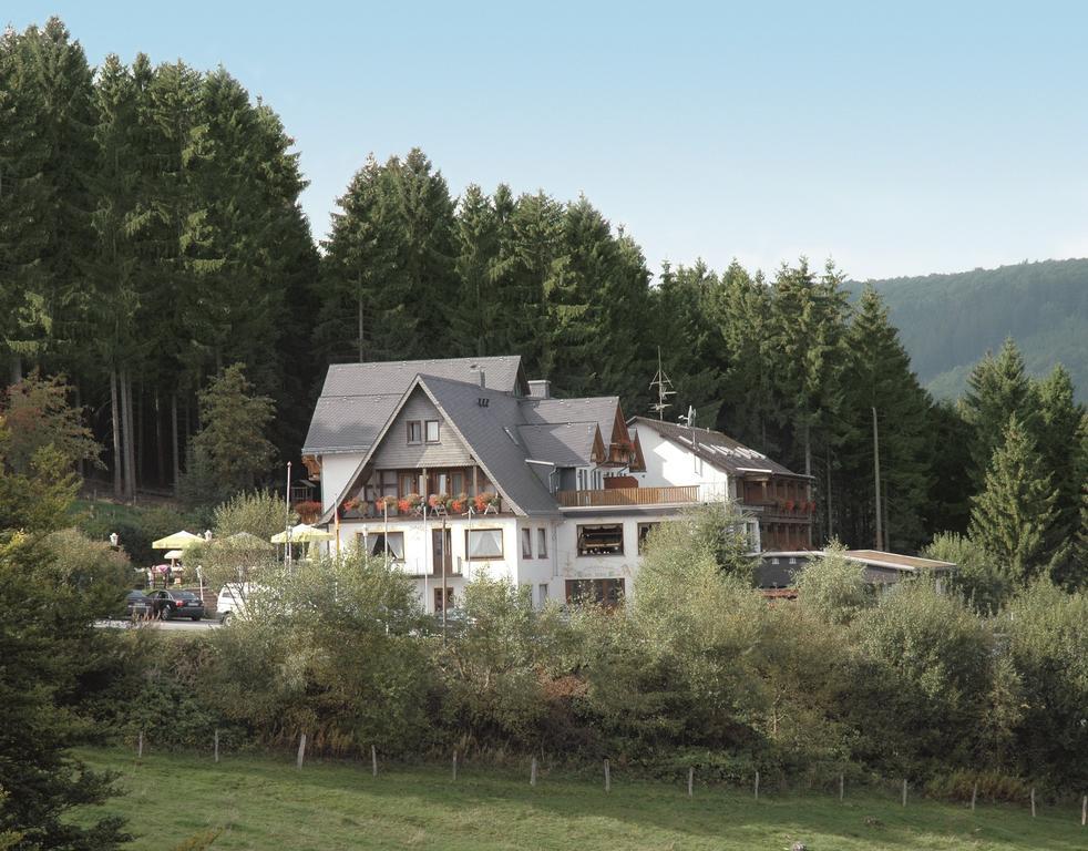 Wald Hotel Willingen Willingen  Exteriör bild